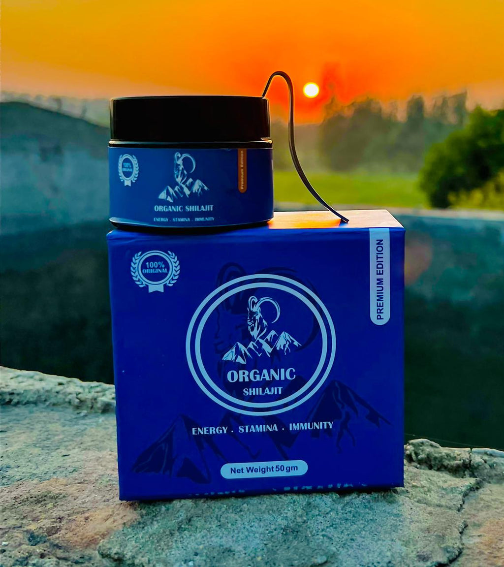 Hamalayan Organic Shilajit 12g